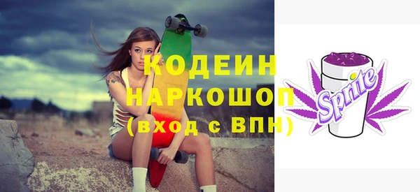 индика Алексин