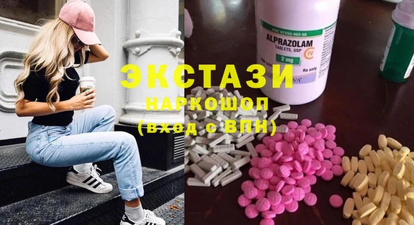 индика Алексин