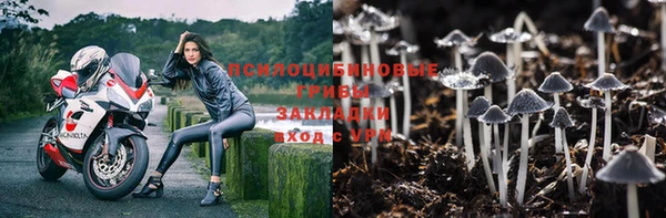 jwh Алзамай