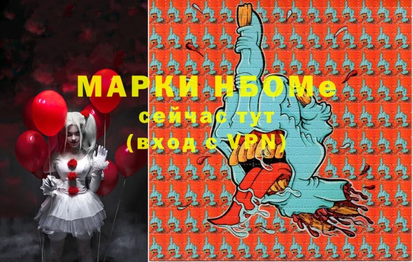 индика Алексин