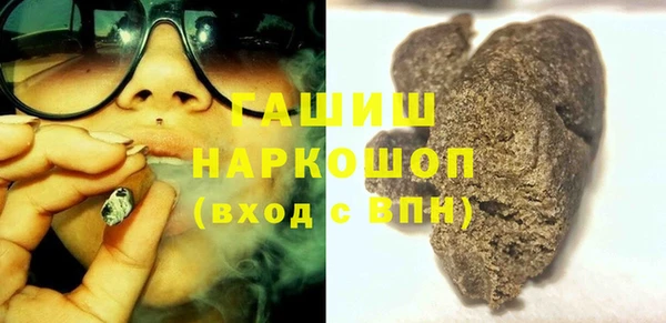 индика Алексин
