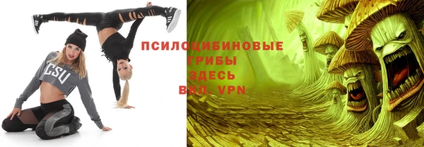 индика Алексин
