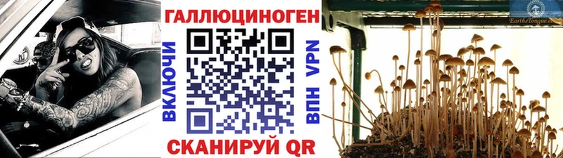 shop формула  Пушкино  Псилоцибиновые грибы MAGIC MUSHROOMS  закладки 